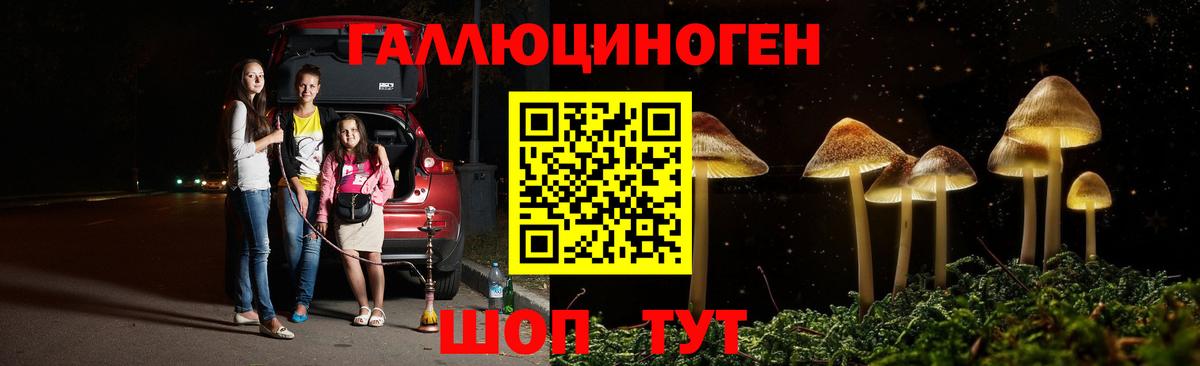 Алатырь  Галлюциногенные грибы Cubensis  Вход с VPN 