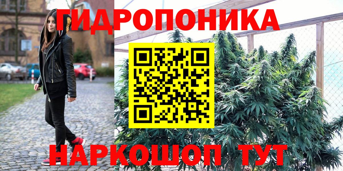 Алатырь  Шишки марихуана LSD WEED  Канабис White Widow  Бошки Шишки планчик  Вход с VPN 